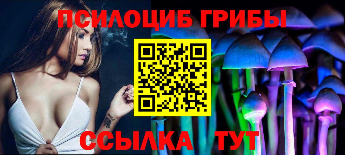 Псилоцибиновые грибы MAGIC MUSHROOMS Котельники