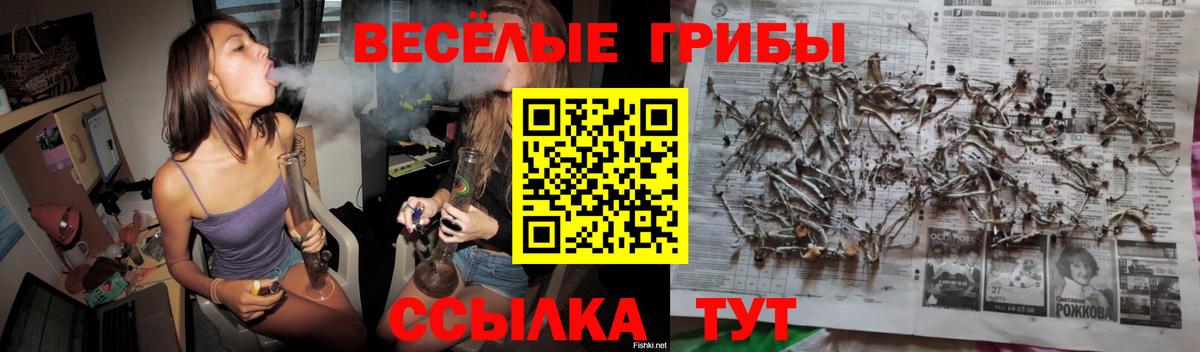 Галлюциногенные грибы Psilocybe  Псилоцибиновые грибы ЛСД  Котельники  Вход с VPN 